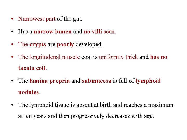  • Narrowest part of the gut. • Has a narrow lumen and no