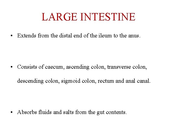 LARGE INTESTINE • Extends from the distal end of the ileum to the anus.