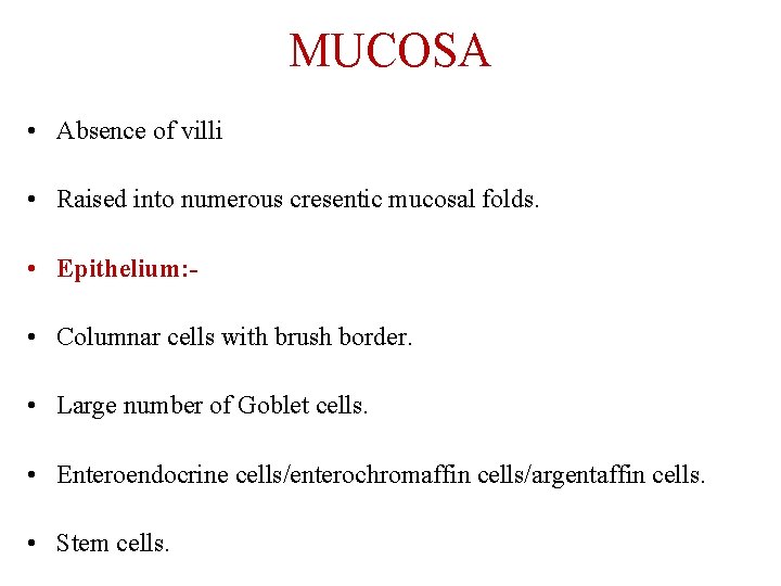 MUCOSA • Absence of villi • Raised into numerous cresentic mucosal folds. • Epithelium: