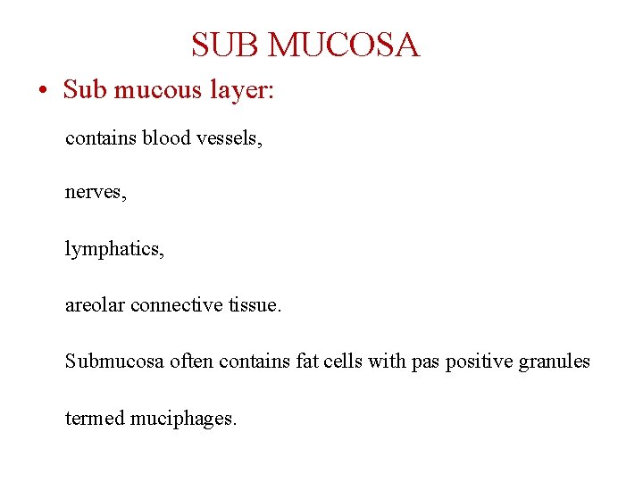 SUB MUCOSA • Sub mucous layer: contains blood vessels, nerves, lymphatics, areolar connective tissue.