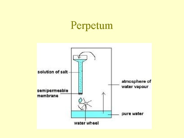 Perpetum 