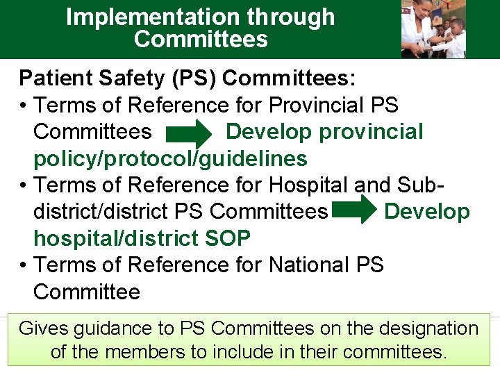 Implementation through Committees Patient Safety (PS) Committees: • Terms of Reference for Provincial PS