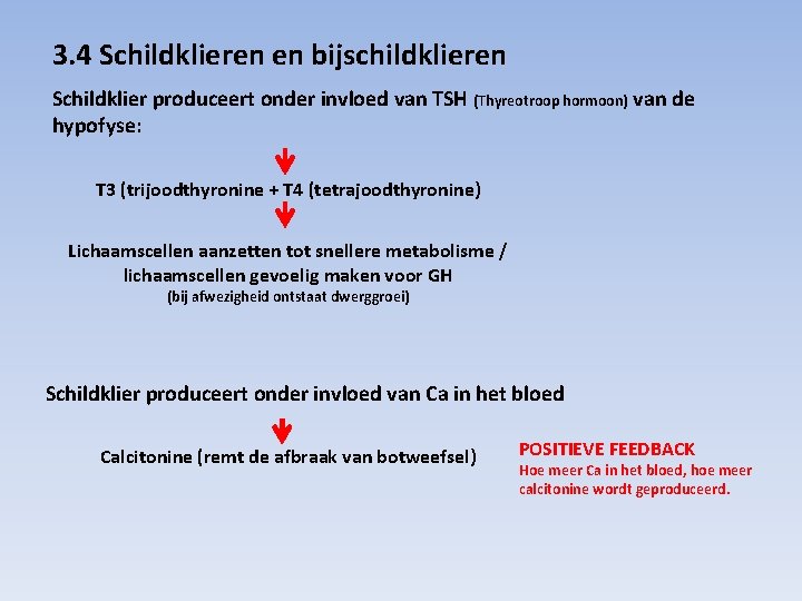 3. 4 Schildklieren en bijschildklieren Schildklier produceert onder invloed van TSH (Thyreotroop hormoon) van