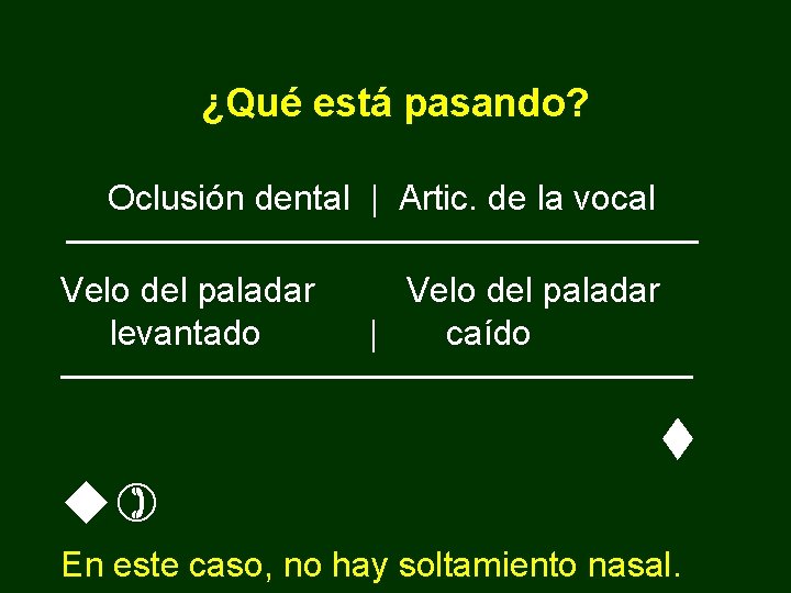¿Qué está pasando? Oclusión dental | Artic. de la vocal ————————— Velo del paladar