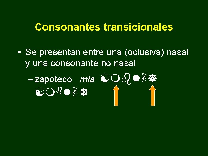 Consonantes transicionales • Se presentan entre una (oclusiva) nasal y una consonante no nasal