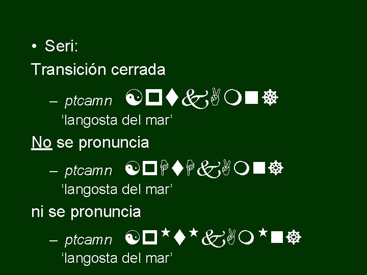  • Seri: Transición cerrada – ptcamn [ptk. Amn] ‘langosta del mar’ No se