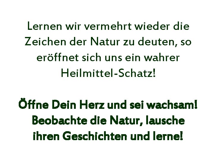 Lernen wir vermehrt wieder die Zeichen der Natur zu deuten, so eröffnet sich uns