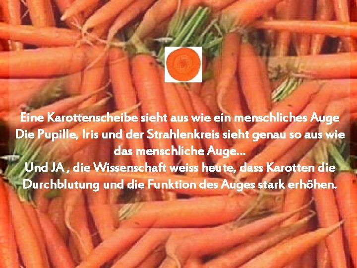 Eine Karottenscheibe sieht aus wie ein menschliches Auge Die Pupille, Iris und der Strahlenkreis