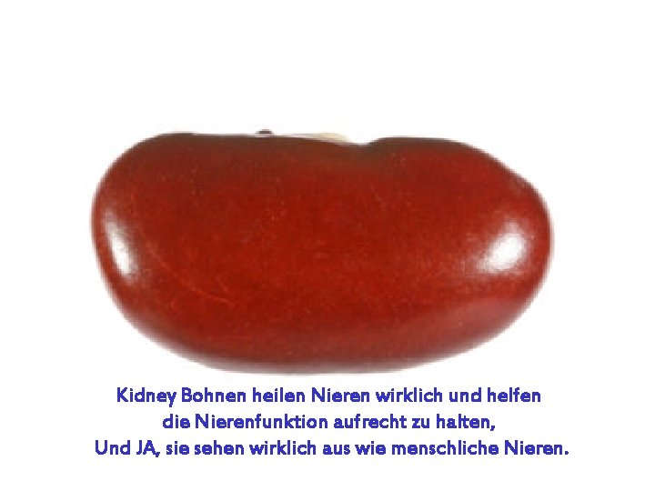 Kidney Bohnen heilen Nieren wirklich und helfen die Nierenfunktion aufrecht zu halten, Und JA,