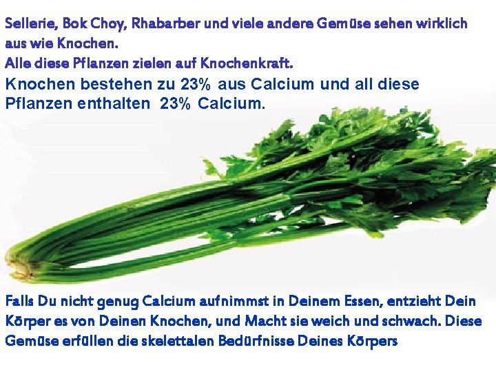 Sellerie, Bok Choy, Rhabarber und viele andere Gemüse sehen wirklich aus wie Knochen. Alle