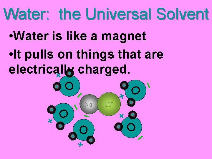 Water: the Universal Solvent Na+ O O • Water is like a magnet •