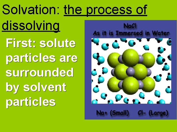 Solvation: the process of dissolving First: solute particles are surrounded by solvent particles 