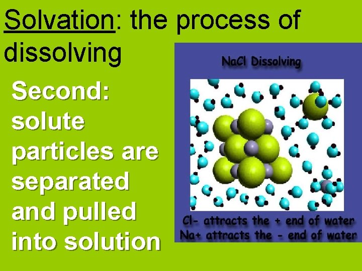 Solvation: the process of dissolving Second: solute particles are separated and pulled into solution