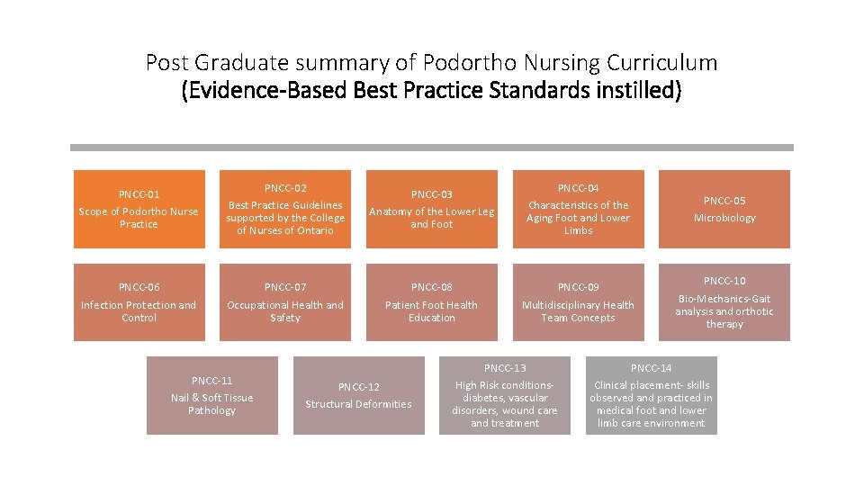 Post Graduate summary of Podortho Nursing Curriculum (Evidence-Based Best Practice Standards instilled) PNCC-01 Scope Post Graduate summary of Podortho Nursing Curriculum (Evidence-Based Best Practice Standards instilled) PNCC-01 Scope