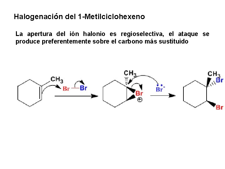 Halogenación del 1 -Metilciclohexeno La apertura del ión halonio es regioselectiva, el ataque se