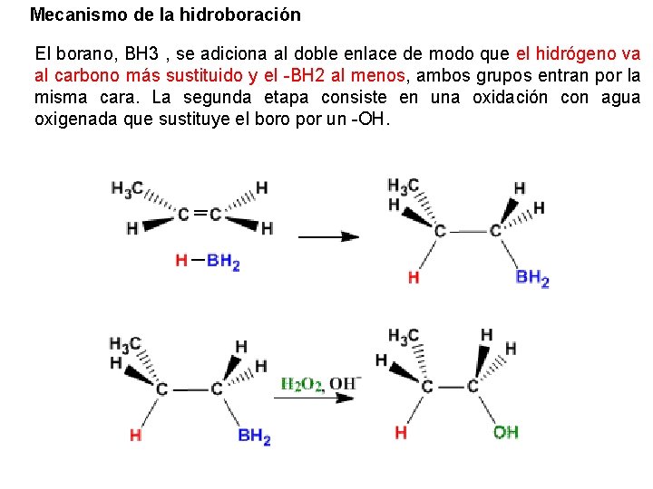 Mecanismo de la hidroboración El borano, BH 3 , se adiciona al doble enlace