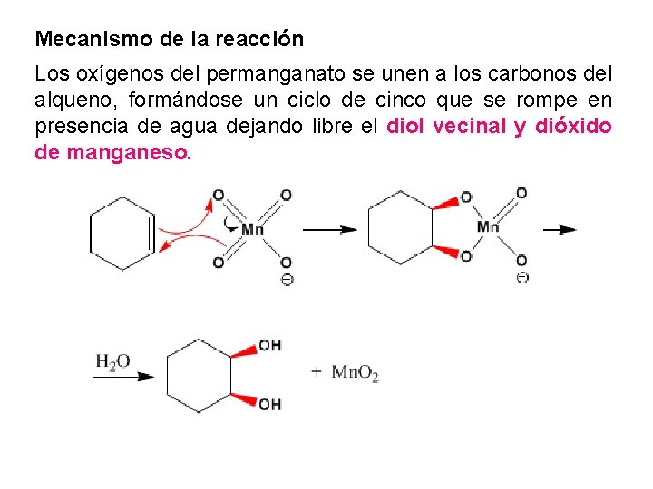 Mecanismo de la reacción Los oxígenos del permanganato se unen a los carbonos del