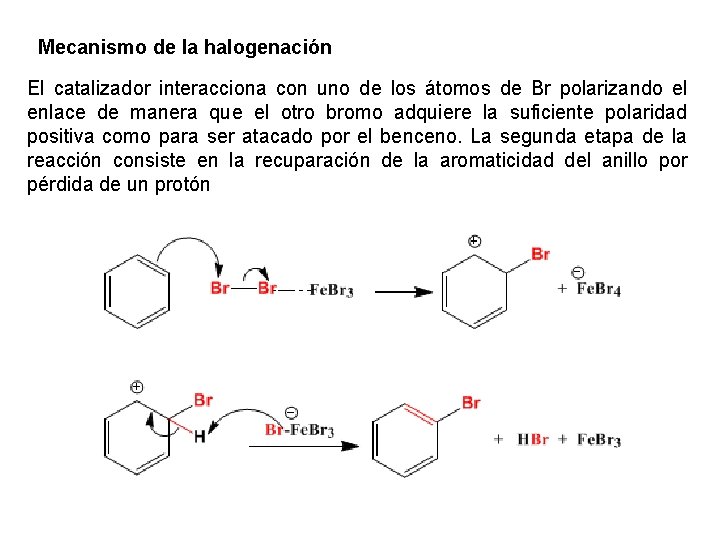 Mecanismo de la halogenación El catalizador interacciona con uno de los átomos de Br