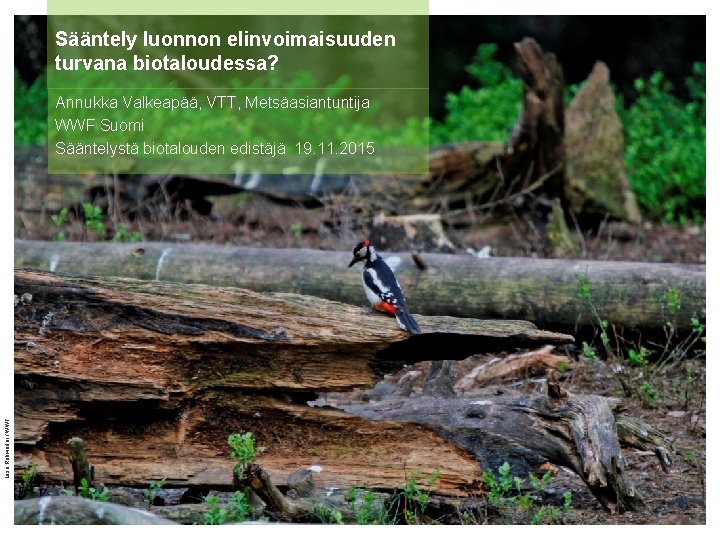 Sääntely luonnon elinvoimaisuuden turvana biotaloudessa? Liisa Rohweder / WWF Annukka Valkeapää, VTT, Metsäasiantuntija WWF