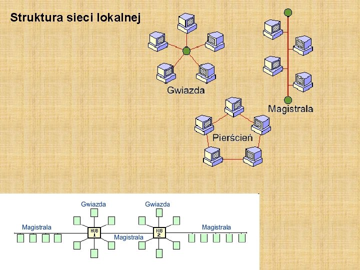 Struktura sieci lokalnej 