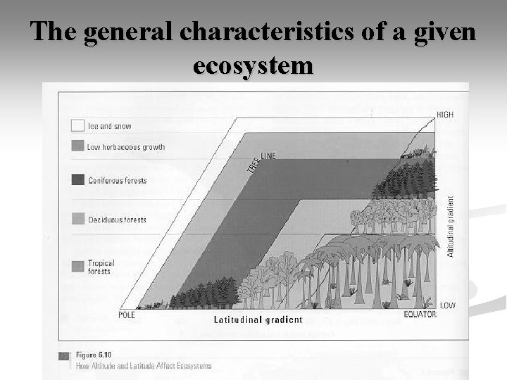 The general characteristics of a given ecosystem 