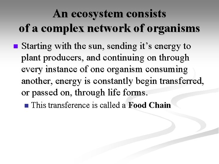 An ecosystem consists of a complex network of organisms n Starting with the sun,