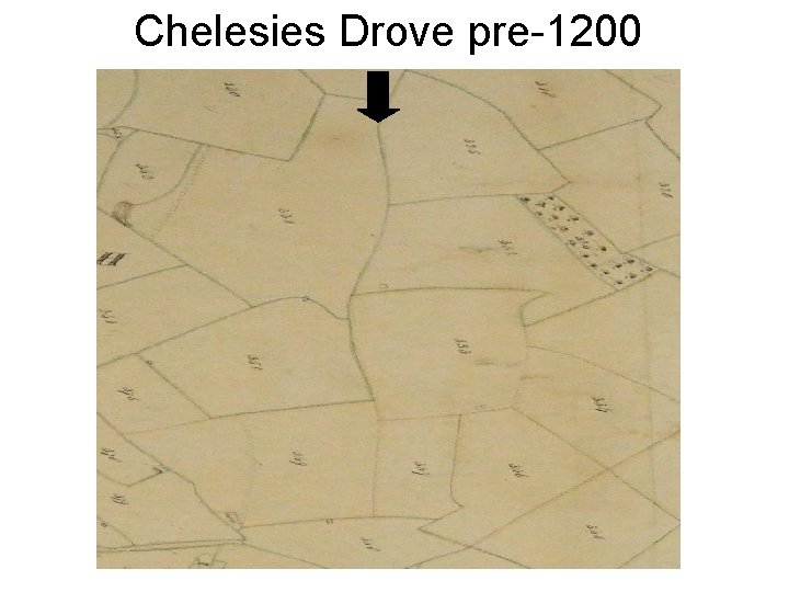 Chelesies Drove pre-1200 