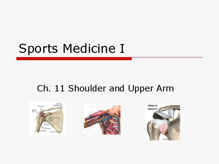 Sports Medicine I Ch. 11 Shoulder and Upper Arm 