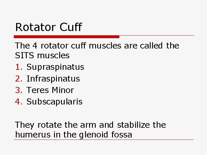 Rotator Cuff The 4 rotator cuff muscles are called the SITS muscles 1. Supraspinatus