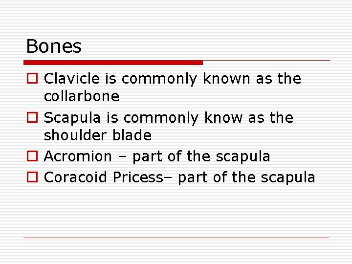 Bones o Clavicle is commonly known as the collarbone o Scapula is commonly know