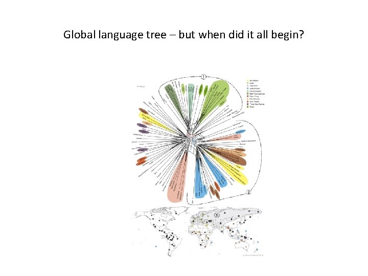 Global language tree – but when did it all begin? 