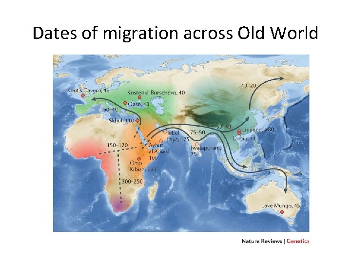 Dates of migration across Old World 