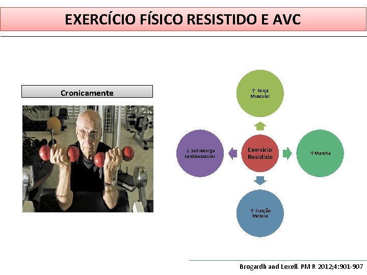 EXERCÍCIO FÍSICO RESISTIDO E AVC Cronicamente ↑ Força Muscular ↓ Sobrecarga cardiovascular Exercício Resistido