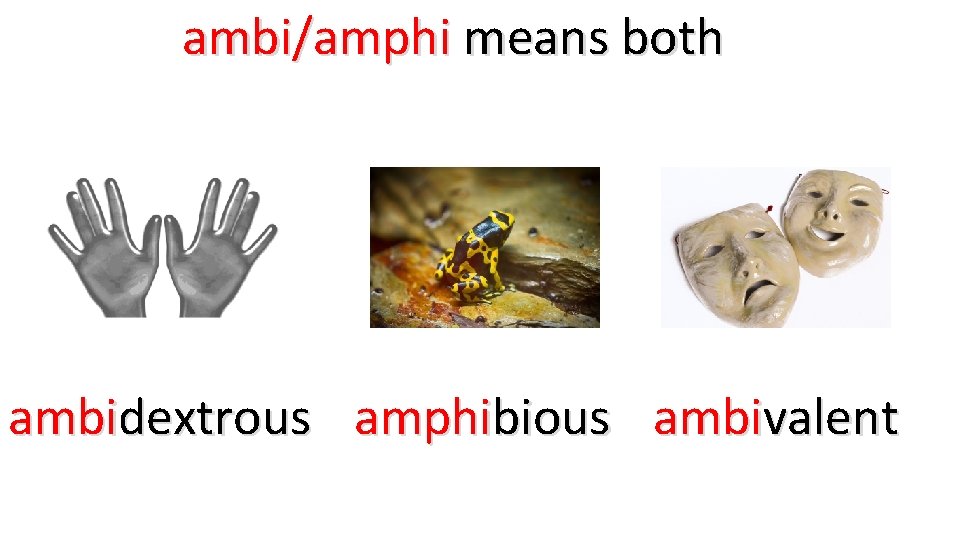ambi/amphi means both ambidextrous amphibious ambivalent 