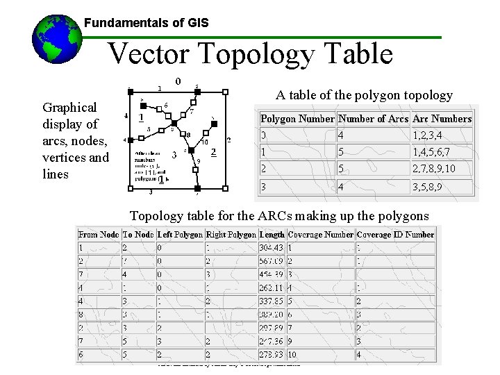 Fundamentals of GIS Vector Topology Table Graphical display of arcs, nodes, vertices and lines