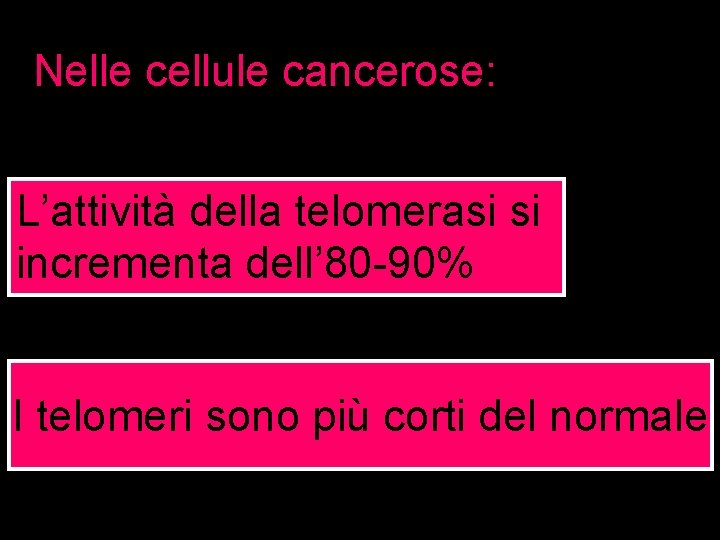 Nelle cellule cancerose: L’attività della telomerasi si incrementa dell’ 80 -90% I telomeri sono Nelle cellule cancerose: L’attività della telomerasi si incrementa dell’ 80 -90% I telomeri sono