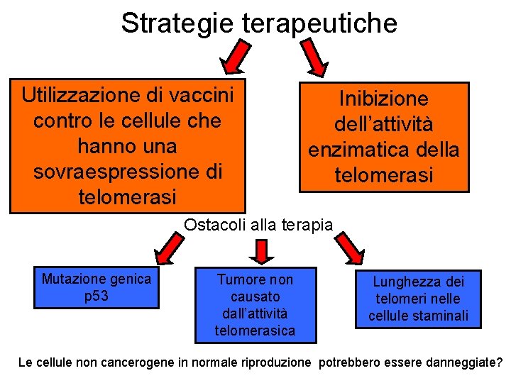 Strategie terapeutiche Utilizzazione di vaccini contro le cellule che hanno una sovraespressione di telomerasi Strategie terapeutiche Utilizzazione di vaccini contro le cellule che hanno una sovraespressione di telomerasi