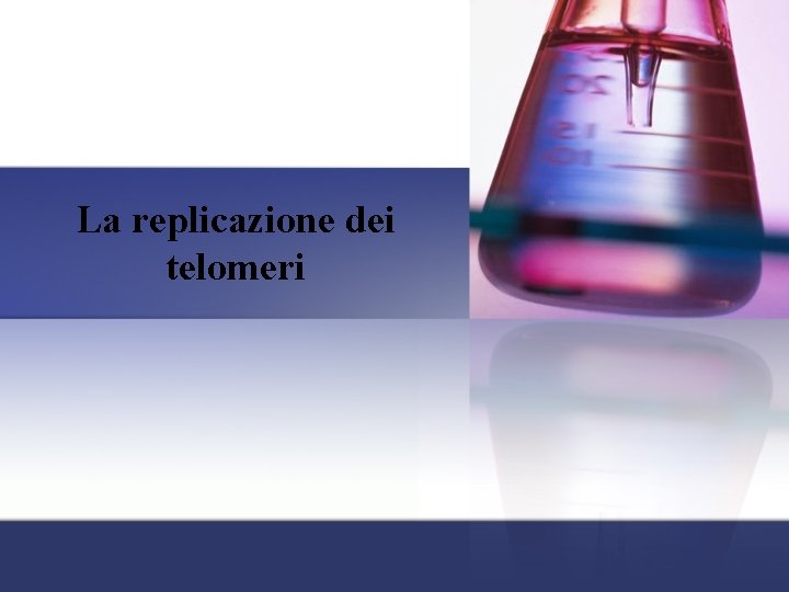 La replicazione dei telomeri La replicazione dei telomeri