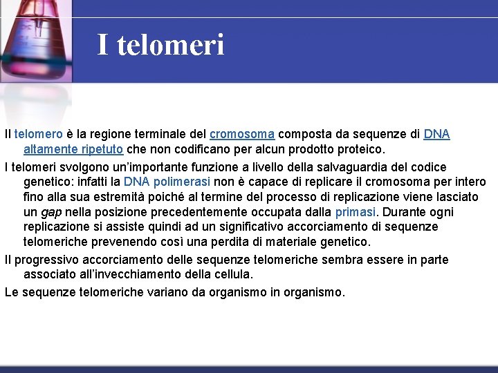 I telomeri Il telomero è la regione terminale del cromosoma composta da sequenze di I telomeri Il telomero è la regione terminale del cromosoma composta da sequenze di