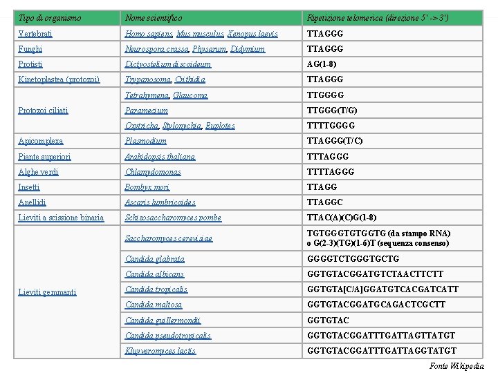 Tipo di organismo Nome scientifico Ripetizione telomerica (direzione 5' -> 3') Vertebrati Homo sapiens, Tipo di organismo Nome scientifico Ripetizione telomerica (direzione 5' -> 3') Vertebrati Homo sapiens,