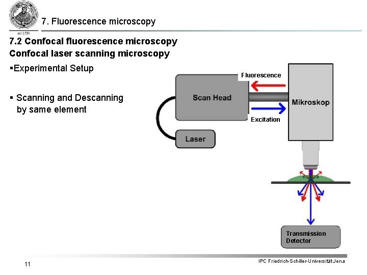 7. Fluorescence microscopy 7. 2 Confocal fluorescence microscopy Confocal laser scanning microscopy §Experimental Setup