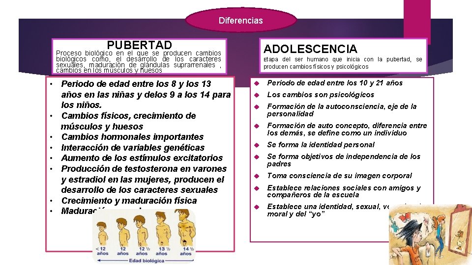 Diferencias PUBERTAD ADOLESCENCIA Proceso biológico en el que se producen cambios biológicos como, el