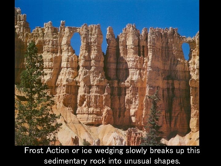 Frost Action or ice wedging slowly breaks up this sedimentary rock into unusual shapes.