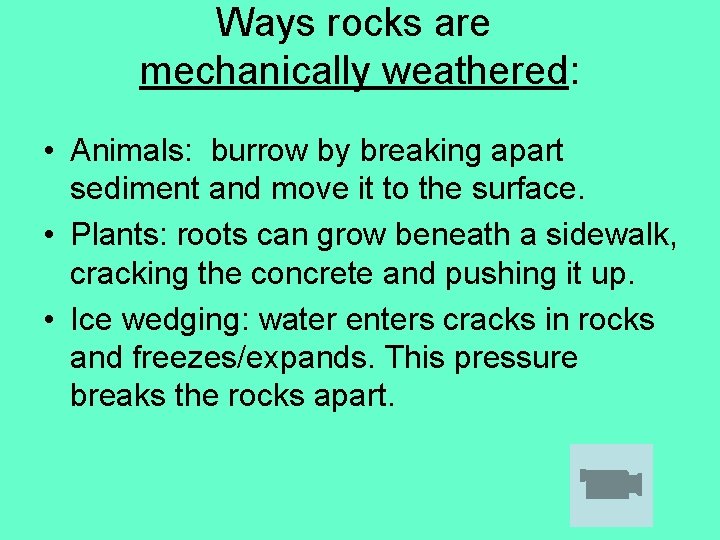 Ways rocks are mechanically weathered: • Animals: burrow by breaking apart sediment and move