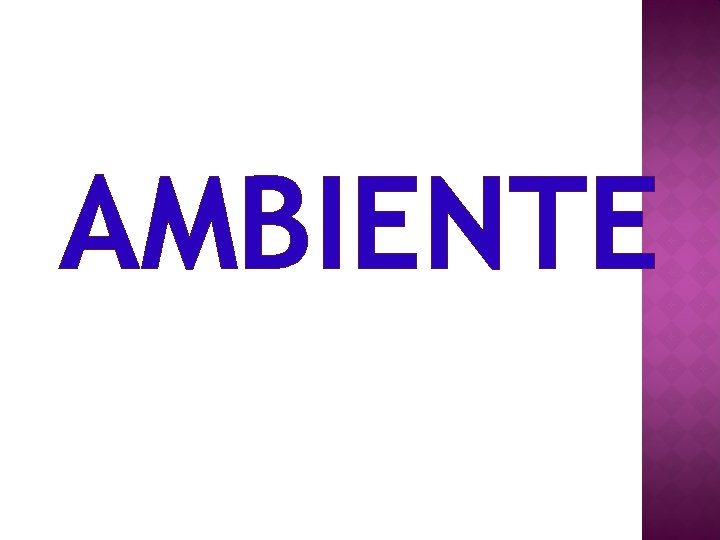 AMBIENTE 