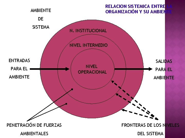 AMBIENTE RELACION SISTEMICA ENTRE LA ORGANIZACIÓN Y SU AMBIENTE DE SISTEMA N. INSTITUCIONAL NIVEL
