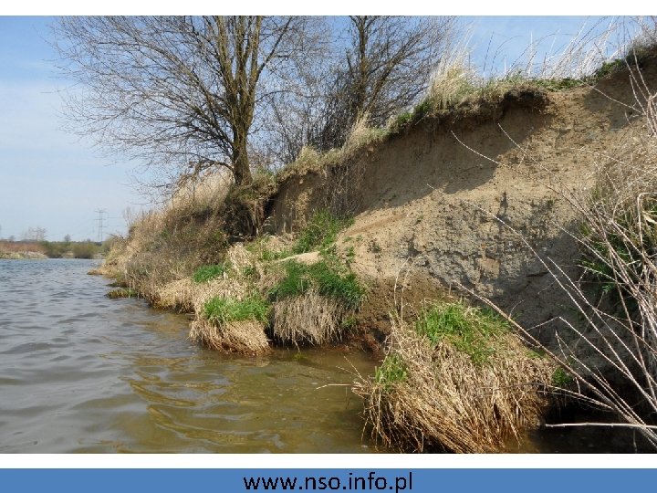 www. nso. info. pl 