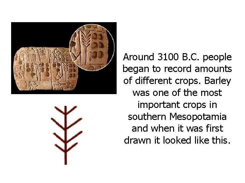 Around 3100 B. C. people began to record amounts of different crops. Barley was