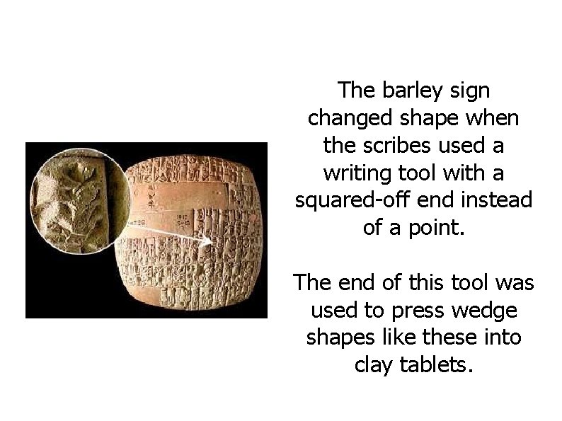 The barley sign changed shape when the scribes used a writing tool with a