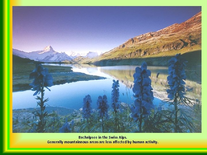 Bachalpsee in the Swiss Alps. Generally mountainnous areas are less affected by human activity.